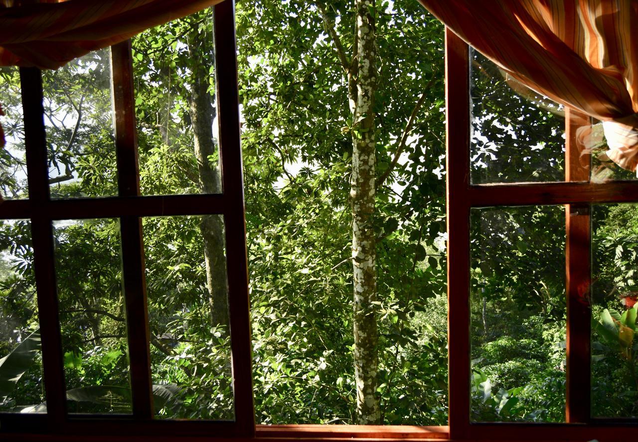 Centro Ecoturistico Cabanas Encantadas Villa กาเตมาโก ภายนอก รูปภาพ